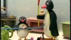 Pingu