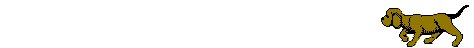 animasyon230