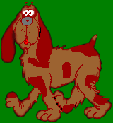 Hayvan